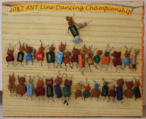 ANT LINE DANCING CHAMPIONSHIP