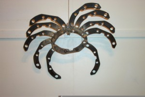 crab-300x200.jpg
