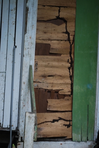 DSC_0239.jpg