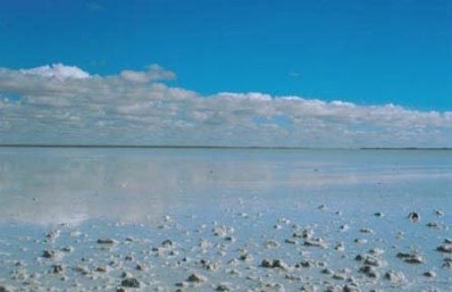 Lake Eyre South in flood