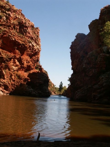 Waterhole, near Alice Springs, NT, Australia